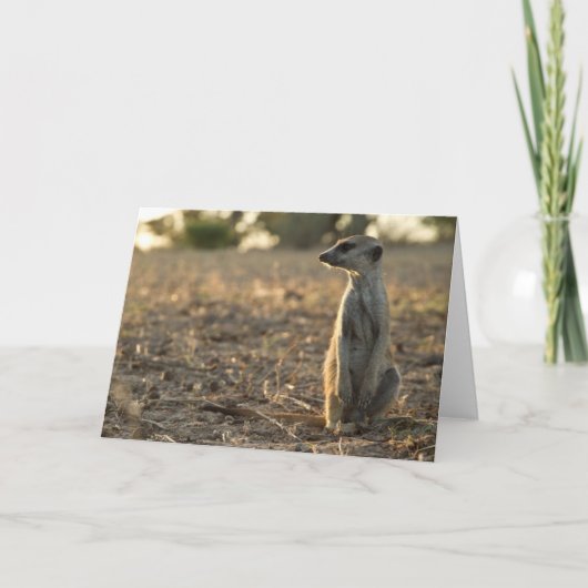 Zaphodの第12バースデー・カード1 カード (正面)