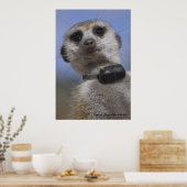 Zaphod - King of the Kalahari Poster ポスター (キッチン)