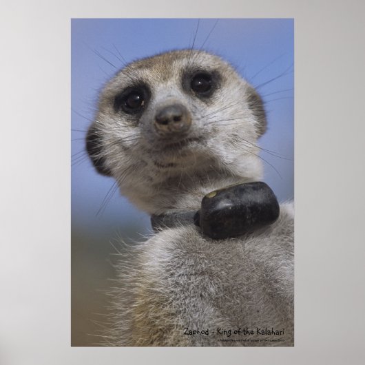 Zaphod - King of the Kalahari Poster ポスター (正面)