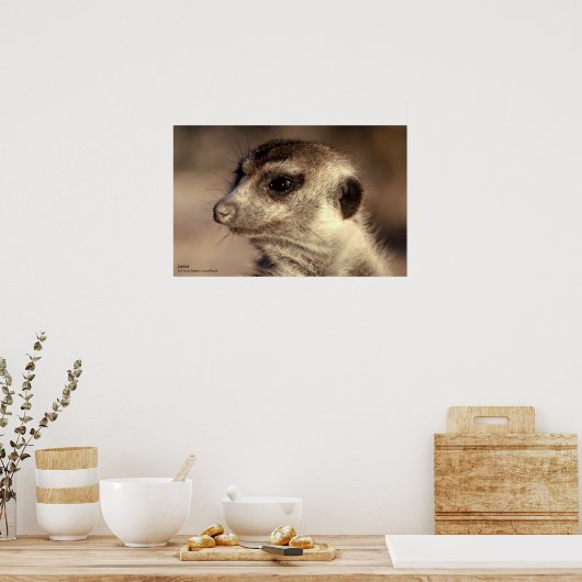 Zaphod Poster - Royal Whiskers Collection ポスター (キッチン)