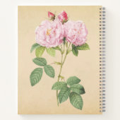 Zarte Frankreich Rose  ノートブック (裏面)