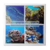 zAU011 THE 素晴らし BARRIEF（オーストラリア） タイル (正面)