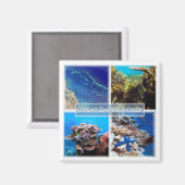 zAU011 THE BARRIER REEF素晴らし，オーストラリア，冷蔵庫 マグネット (正面/裏面)