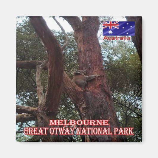 zAU075 MELBOURNE、Otway N.P.素晴らし冷蔵庫 マグネット (正面)