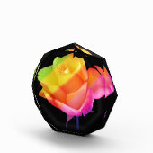 zauberhafte Rose in den Farben des Regenbogens フォトブロック (右)