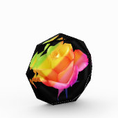 zauberhafte Rose in den Farben des Regenbogens フォトブロック (左)