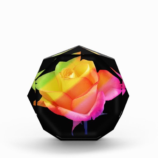 zauberhafte Rose in den Farben des Regenbogens フォトブロック (正面)