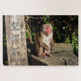 ZaZen Temple Monkey Arashiyama Kyoto Japan ジグソーパズル