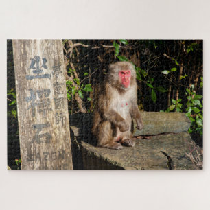 ZaZen Temple Monkey Arashiyama Kyoto Japan ジグソーパズル