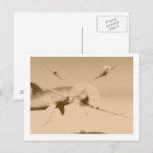 zazzle ポストカード (正面/裏面)