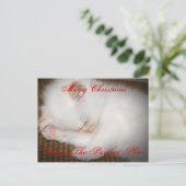zazzle、メリーなChristmasFrom Purrfectの場所 シーズンポストカード (スタンド正面)