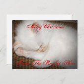 zazzle、メリーなChristmasFrom Purrfectの場所 シーズンポストカード (正面/裏面)