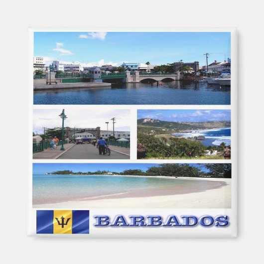 zBB003 BARBADOS，モザイク，アメリカ，冷蔵庫 マグネット (正面)