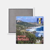 zBB006 BATHSHEBA, Barbados,空中表示,冷蔵庫 マグネット (正面/裏面)