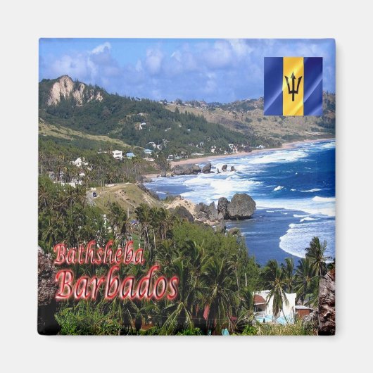 zBB006 BATHSHEBA, Barbados,空中表示,冷蔵庫 マグネット (正面)