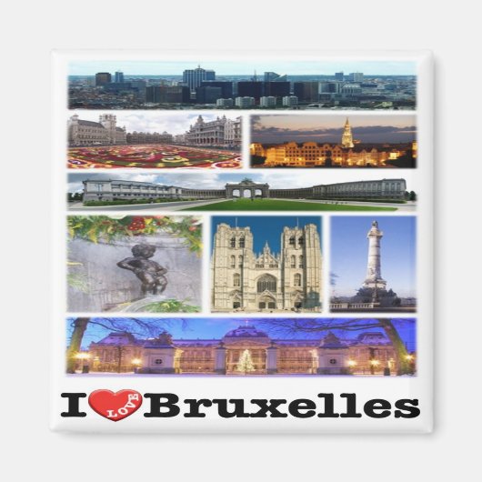 zBE013 BRUSSELS BRUXELLESベルギー、冷蔵庫 マグネット (正面)