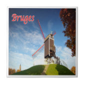 zBE034 BRUGES Moulin,ベルギー タイル (正面)
