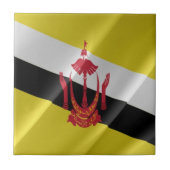 zBN002ブルネイ国旗を振るブルネイ， タイル (正面)