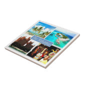 zBS004バハマモザイク,アメリカ, タイル (側面)