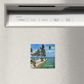 zBS012 BAHAMAS，パノラマ，アメリカ，冷蔵庫 マグネット (インサイチュ (食洗機))