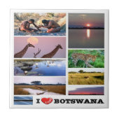 zBW003 BOTSWANA I LOVE,モザイク,アフリカ, タイル (正面)