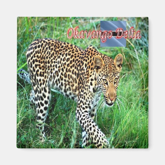 zBW007 OKAVANGOデルタ、ヘパルドBOTSWANA、冷蔵庫 マグネット (正面)