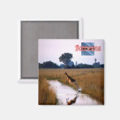 zBW011ボツワナ、雌飛んでいるレクウェ、冷蔵庫 マグネット (正面/裏面)