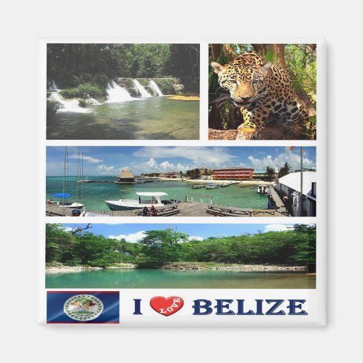 zBZ004 BELIZE I Love, Mosaic, America,冷蔵庫 マグネット (正面)