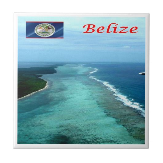 zBZ005 BELIZE Barrier Reef，アメリカ， タイル (正面)