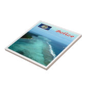 zBZ005 BELIZE Barrier Reef，アメリカ， タイル (側面)