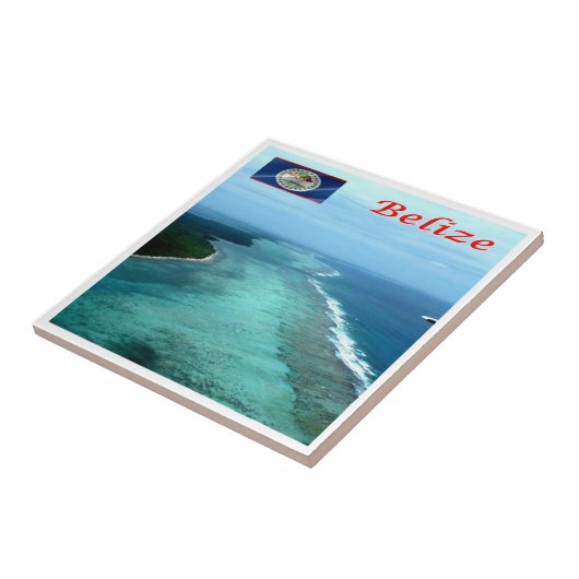zBZ005 BELIZE Barrier Reef，アメリカ， タイル (側面)