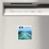 zBZ005 BELIZE Barrier Reef，アメリカ，冷蔵庫用マグネット マグネット (インサイチュ (食洗機))