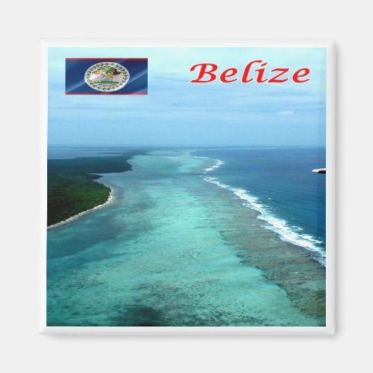 zBZ005 BELIZE Barrier Reef，アメリカ，冷蔵庫用マグネット マグネット (正面)