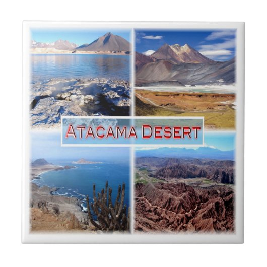 zCL003 ATACAMA DESERT, Mosaic, Chile, タイル (正面)