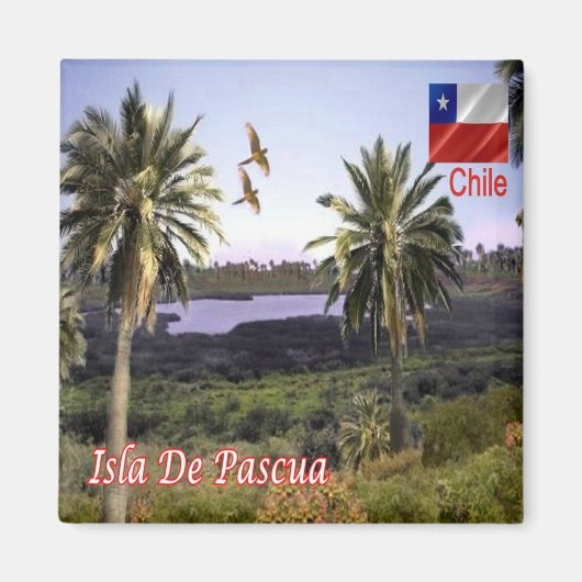 zCL011 ISLA DE PASQUA, RAPA NUI，チリ，冷蔵庫 マグネット (正面)