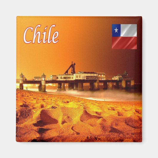 zCL014 CHILE, Viina del Mar，アメリカ，冷蔵庫 マグネット (正面)