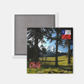 zCL026 CHILE, Araucarias,天然記念物,冷蔵庫 マグネット (正面/裏面)