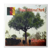 zCM007 WASA N.P.カメロン、アフリカ、 タイル (正面)