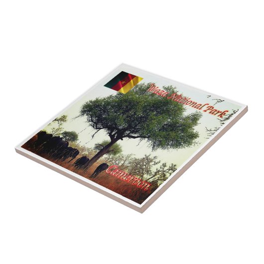 zCM007 WASA N.P.カメロン、アフリカ、 タイル (側面)