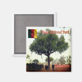 zCM007 WASA N.P.カメロン、アフリカ、冷蔵庫 マグネット (正面/裏面)