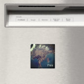 zCV015 PRAIA, Cape Verde，アフリカ，冷蔵庫 マグネット (インサイチュ (食洗機))