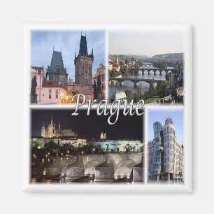 zCZ005 PRAGUEチェコ共和国,冷蔵庫 マグネット