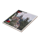 zCZ016 BRNOチェコ, タイル (側面)