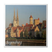 zDE007 REGENSBURGドイツ, タイル (正面)