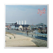 zDE030 SYLT SHORE Frisian islandsドイツ， タイル (正面)