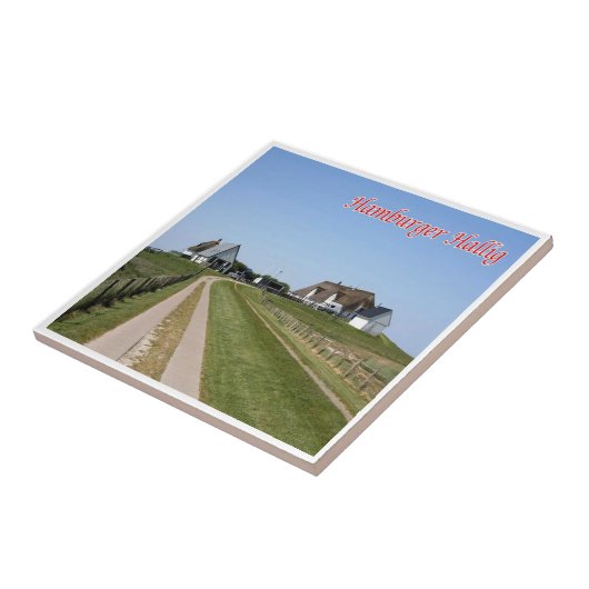 zDE085 HAMBURGER HOLMフリジア諸島， タイル (側面)