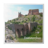 zDK006 HAMMERHSHUS，フリジア諸島， タイル (正面)