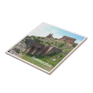 zDK006 HAMMERHSHUS,フリジア諸島, タイル