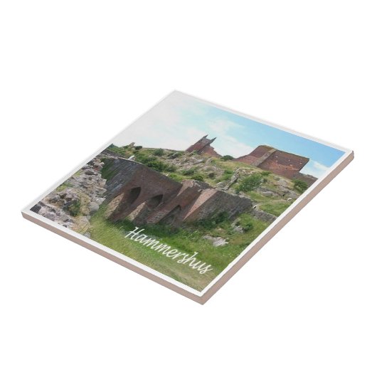 zDK006 HAMMERHSHUS，フリジア諸島， タイル (側面)