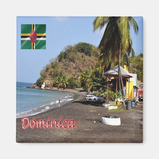 ZDM007 DOMINICA，メロビーチ，アメリカ，冷蔵庫 マグネット (正面)